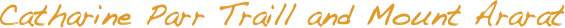 ￼