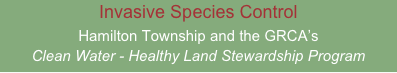 Invasive Species Control
Hamilton Township and the GRCA’s
Clean Water - Healthy Land Stewardship Program
